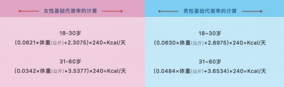 胖子调理_调理肥胖_长不胖怎么调理