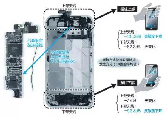 黑色的苹果_黑色苹果叫什么品种名字_苹果5黑色外壳