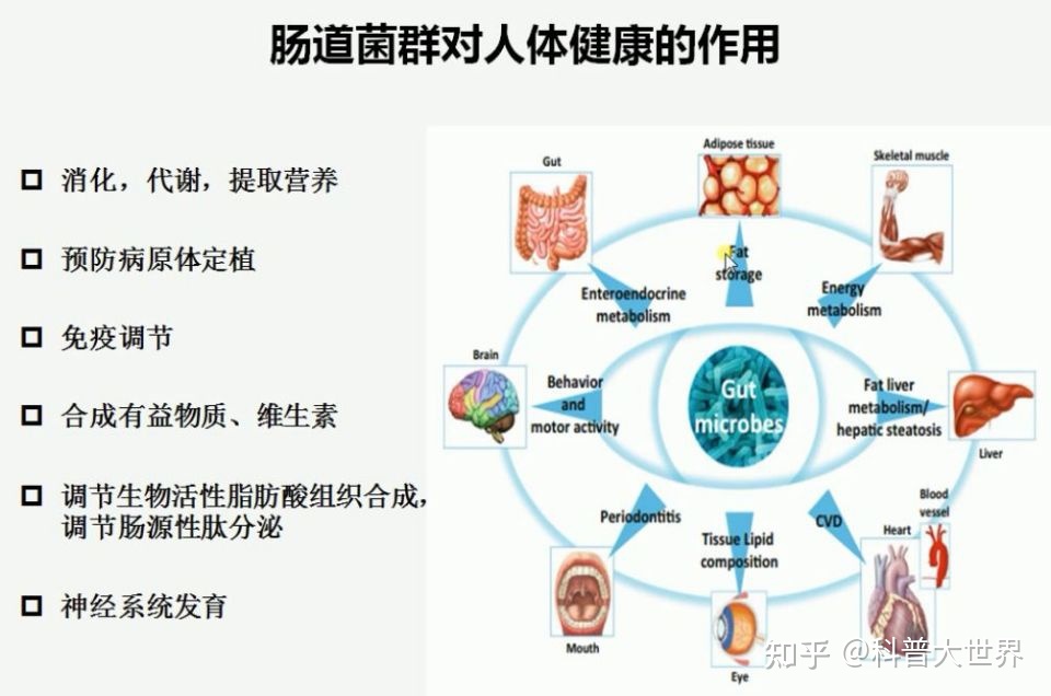 羊的肉毒梭菌怎么治疗_牛羊病肉毒梭菌症状_牛羊肉毒梭菌病