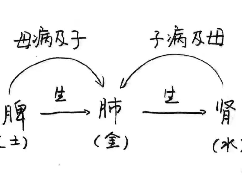 调理宝宝脾虚月经不来_宝宝调理脾虚的食谱_3个月宝宝脾虚怎么调理