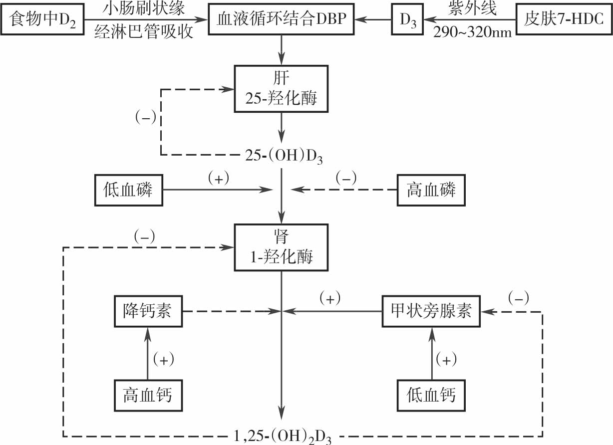 安利补硒产品_安利硒片_安利含硒产品