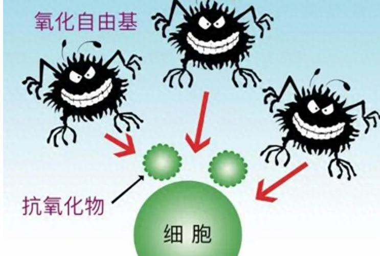 护肤美白成分有哪些_男生护肤美白_如何护肤美白