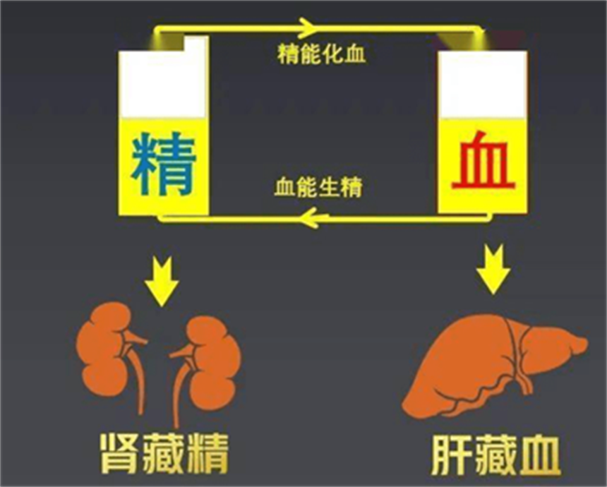 中医养生基础理论——精气血之间的关系！