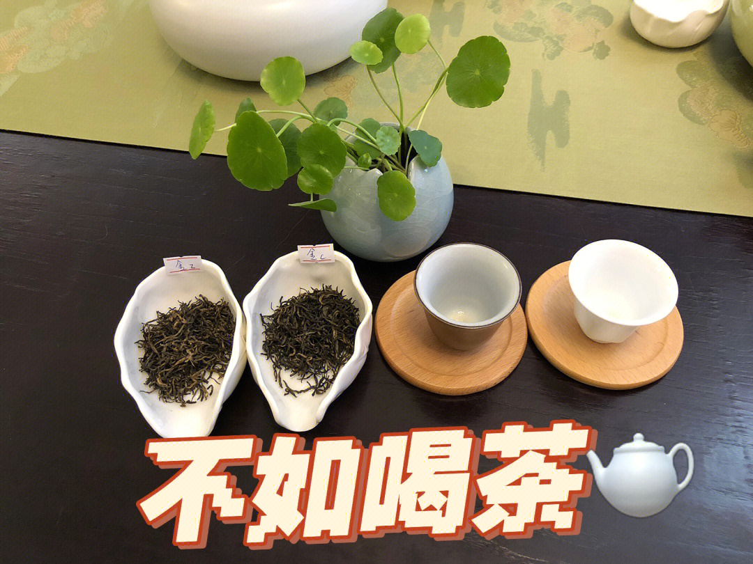 茶叶推广标题_如何推广茶叶_茶叶推广方案