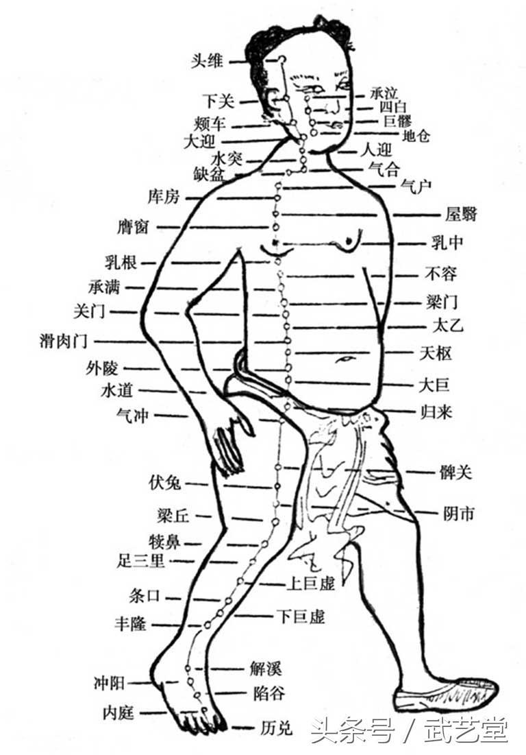 调理脾胃经络好吗_调理脾胃的经络_脾胃不好怎么从经络调理