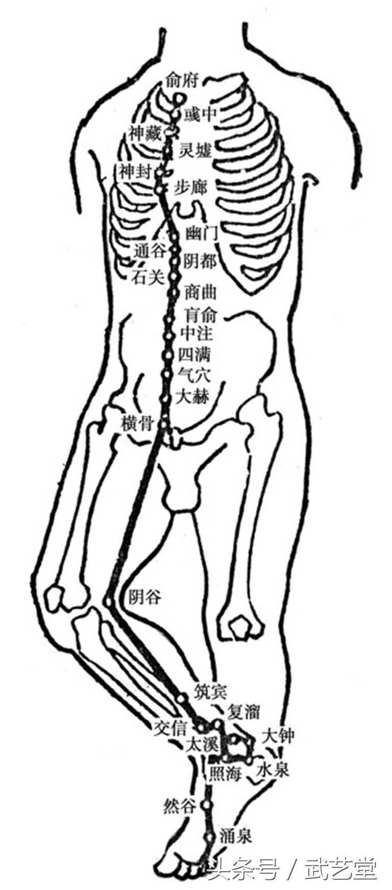 调理脾胃的经络_脾胃不好怎么从经络调理_调理脾胃经络好吗