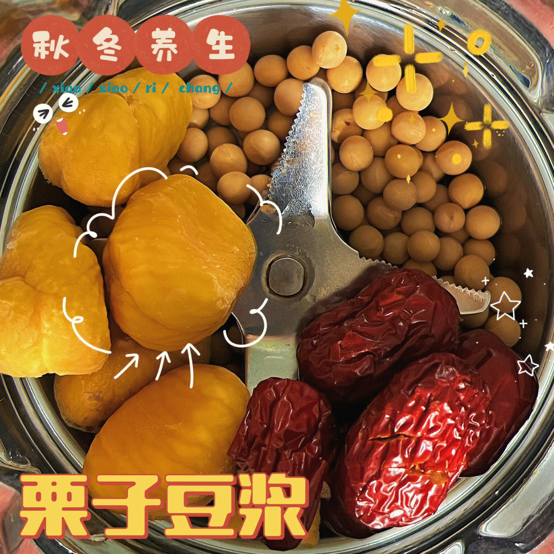 红枣豆浆的功效与作用_红枣豆浆功效作用与禁忌_红枣豆浆功效作用是什么