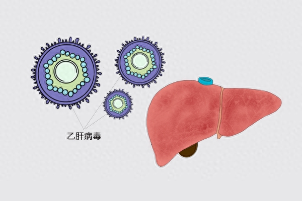 乙肝大三阳怎么调理_治乙肝大三阳偏方_治乙肝大三阳民间偏方