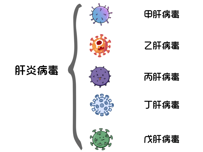 乙肝大三阳怎么调理_治乙肝大三阳偏方_治乙肝大三阳民间偏方