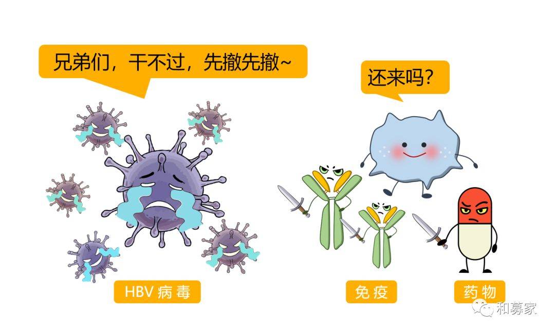 治乙肝大三阳民间偏方_乙肝大三阳怎么调理_治乙肝大三阳偏方