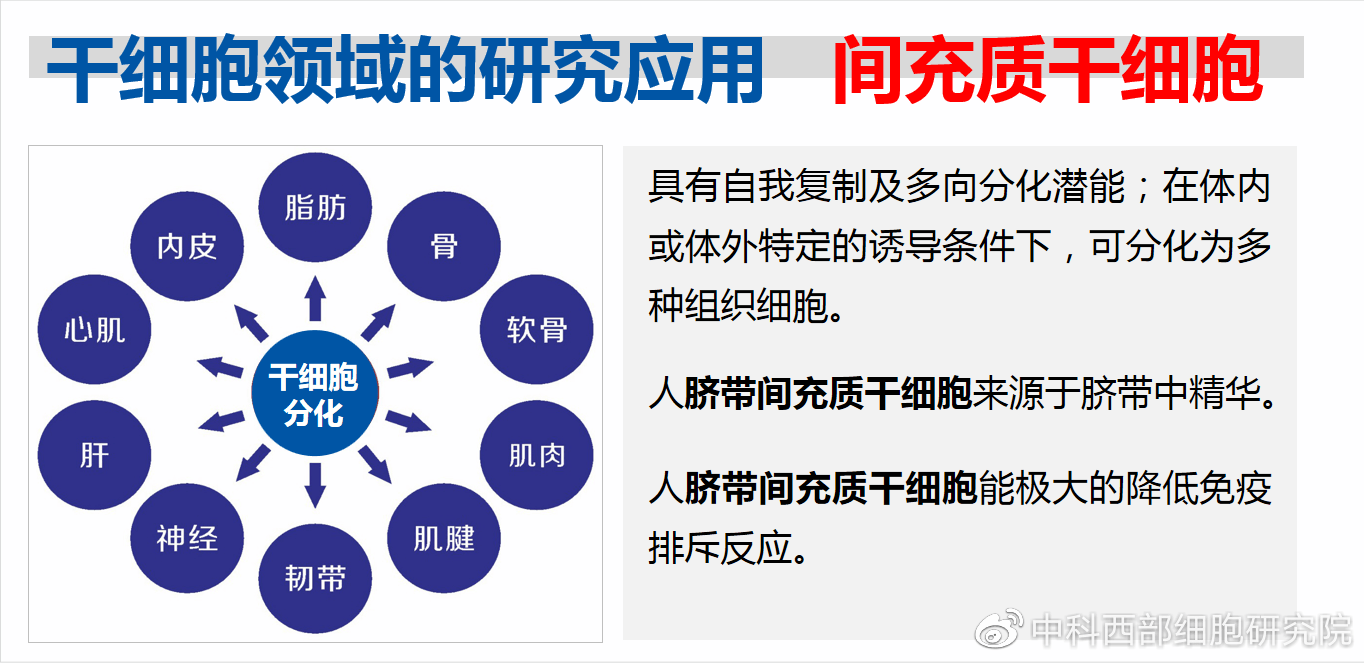 天狮产品效果_天狮产品效果_天狮产品效果