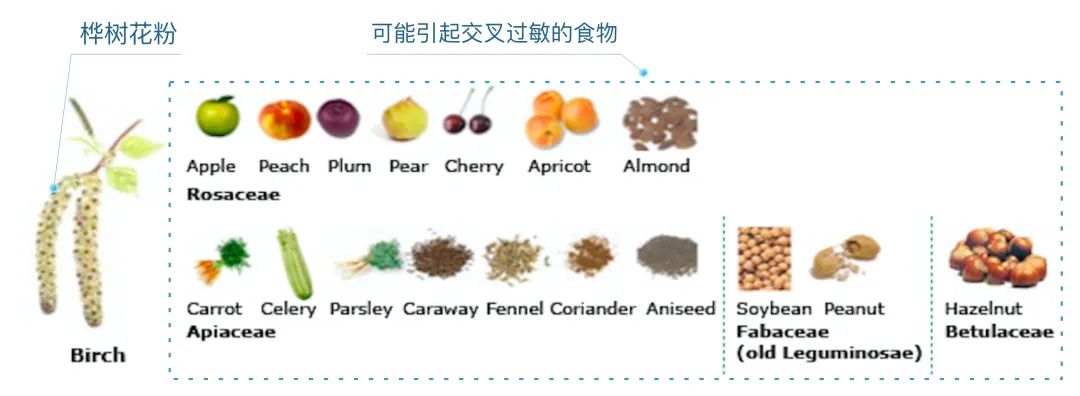 花粉过敏 中医调理_过敏调理中医花粉有效果吗_过敏调理中医花粉有效吗