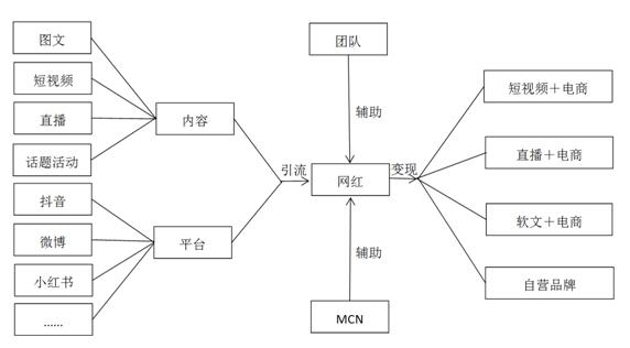 图1  网红营销运营模式图