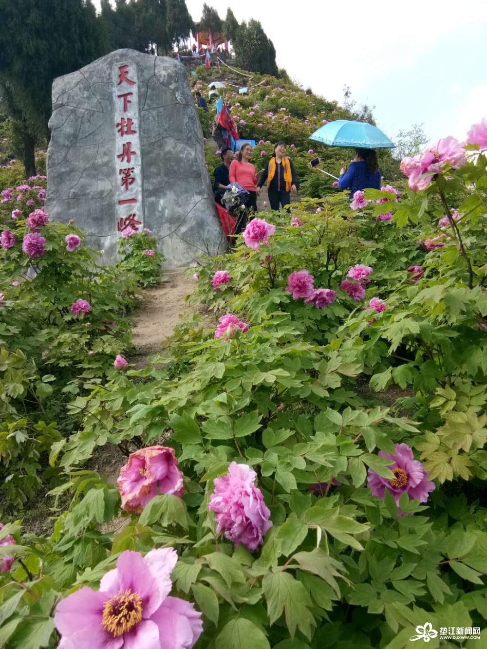 呱呱叫食品厂_临沂呱呱叫食品老板_临沂呱呱叫食品