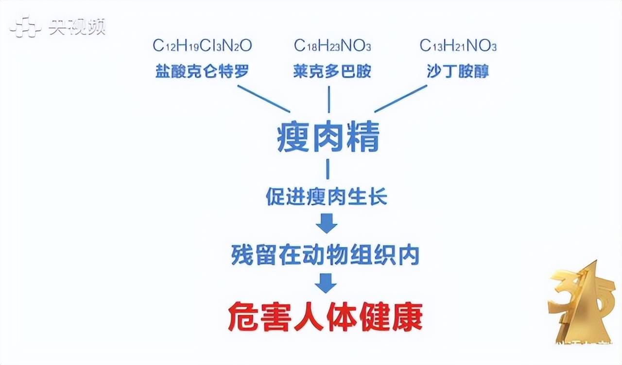 健美猪的危害_健美猪图片大全_最出名的健美猪