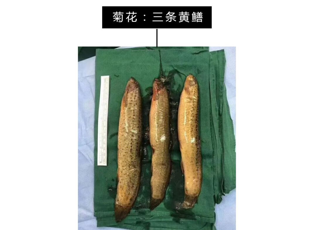 调理肠胃宝宝吃什么_调理宝宝肠胃的食谱_宝宝肠胃不好怎么调理