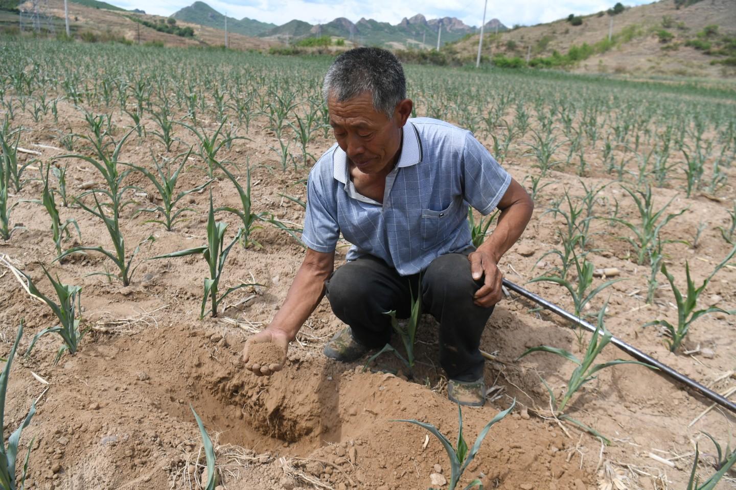 肌肉粉桶_什么是肌肉粉_肌肉粉能增肥吗