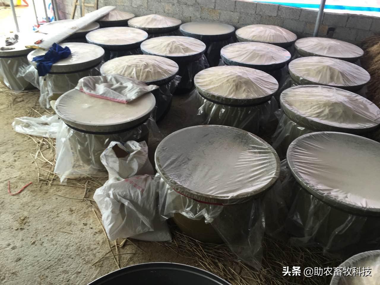 肌肉粉桶_肌肉粉能增肥吗_什么是肌肉粉