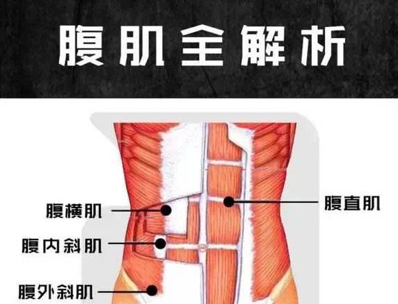 什么是肌肉粉_肌肉粉能增肥吗_肌肉粉桶