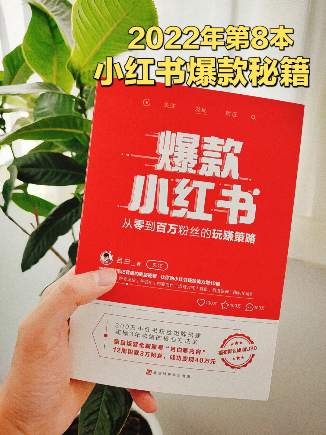 网络红人推广_网络红人推广方案_网络红人推手