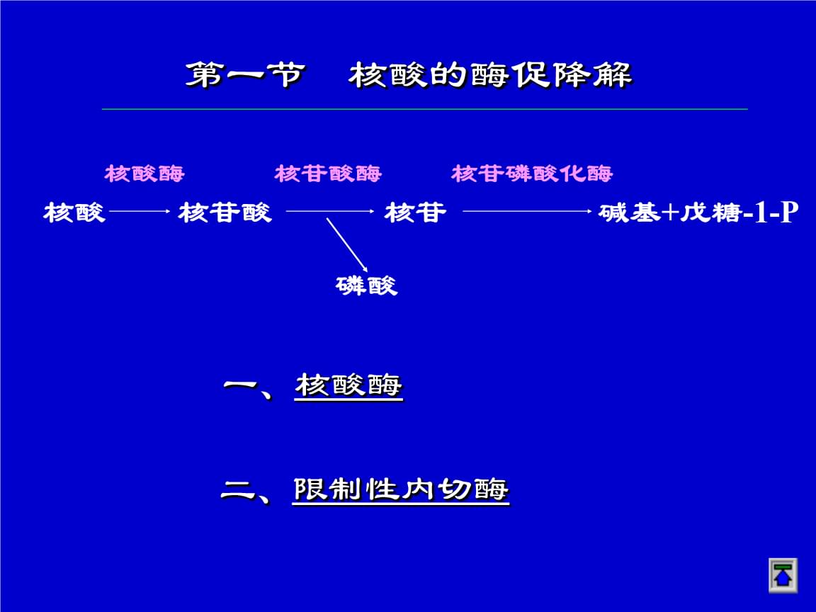 一三一素服用方法_梦菲斯天然活性素如何服用_麦记麦绿素怎么服用