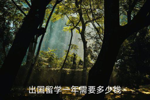 出国留学一年需要多少钱