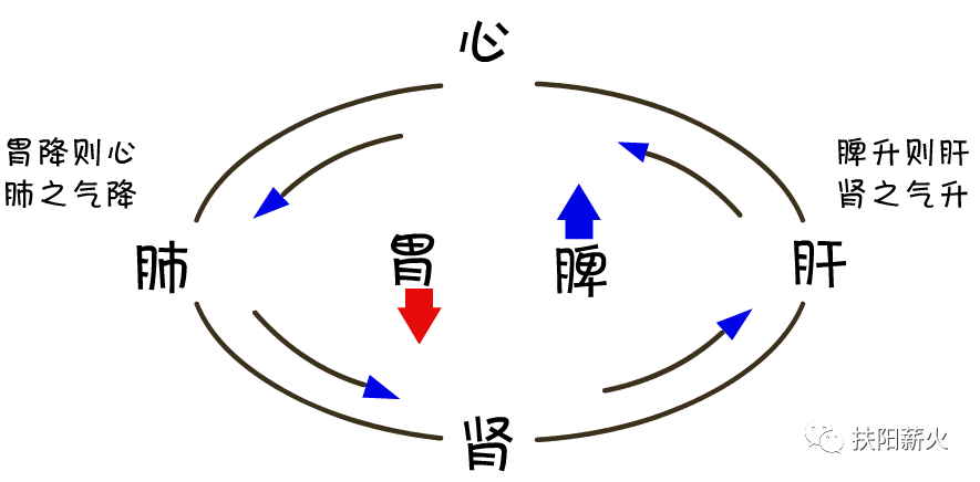 调理手脚冰冷吃什么药好_调理手脚冰冷吃什么好_手脚冰冷吃什么调理