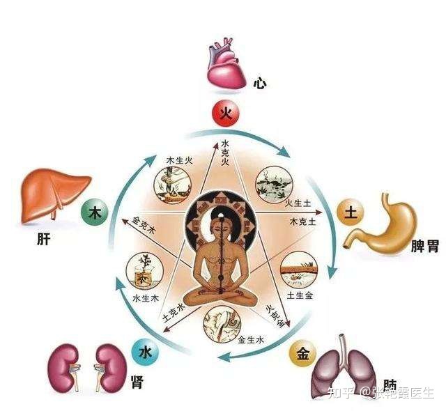 手脚冰冷吃什么调理_调理手脚冰冷吃什么药好_调理手脚冰冷吃什么好