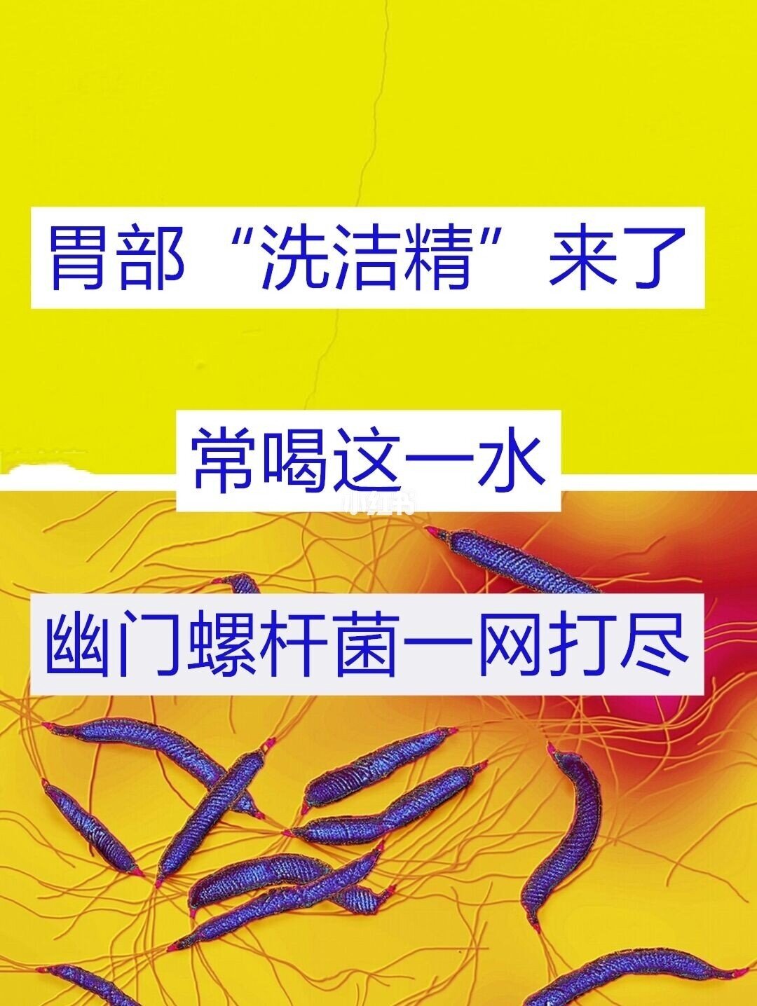 调理肠胃口臭好还是不好_调理肠胃口臭好不好_肠胃不好口臭怎么调理