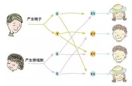 不孕不育相关问题_不育不孕女_女性不孕不育是什么 39健康问答