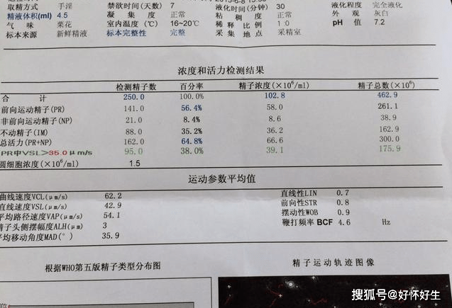 精子活力60要调理多久_精子活力60要调理多久_精子活力60要调理多久