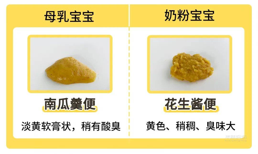 调理便秘宝宝月经不正常_4个月宝宝便秘怎么调理_调理便秘宝宝月经不调