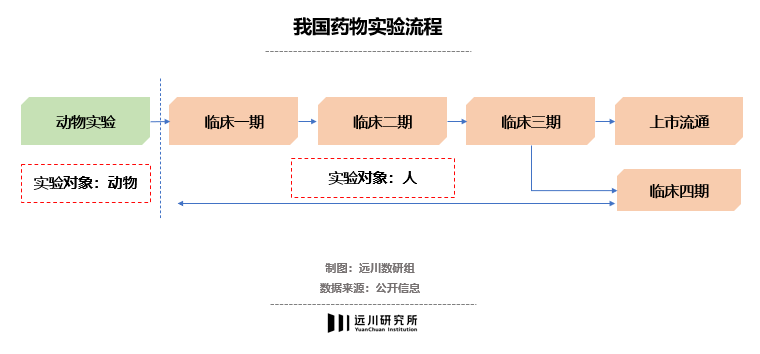 用小白鼠做转基因食品安全实验的过程设计_转基因食物小白鼠实验_转基因小白鼠