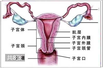 哪种缩阴产品效果好_哪种缩阴产品效果好_哪种缩阴产品效果好