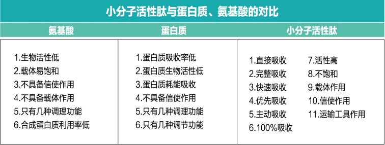 胶原蛋白的副作用_蛋白胶原的作用_蛋白副胶原作用是什么