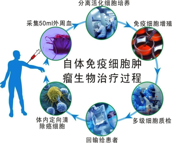 抗疲劳性能_抗疲劳能力_抗疲劳能力差