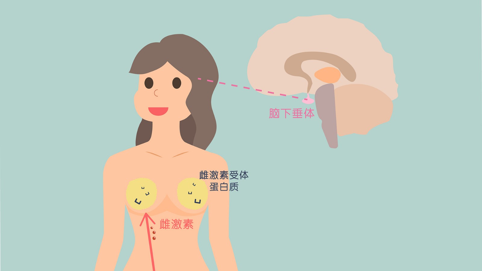 购买空孕催乳针剂_感受注射空孕催乳剂_我被注射空孕催乳剂