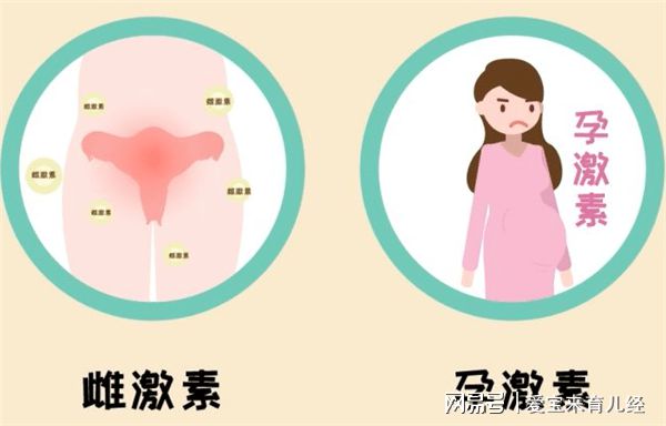 购买空孕催乳针剂_空孕催乳剂注射后感受_我被注射空孕催乳剂