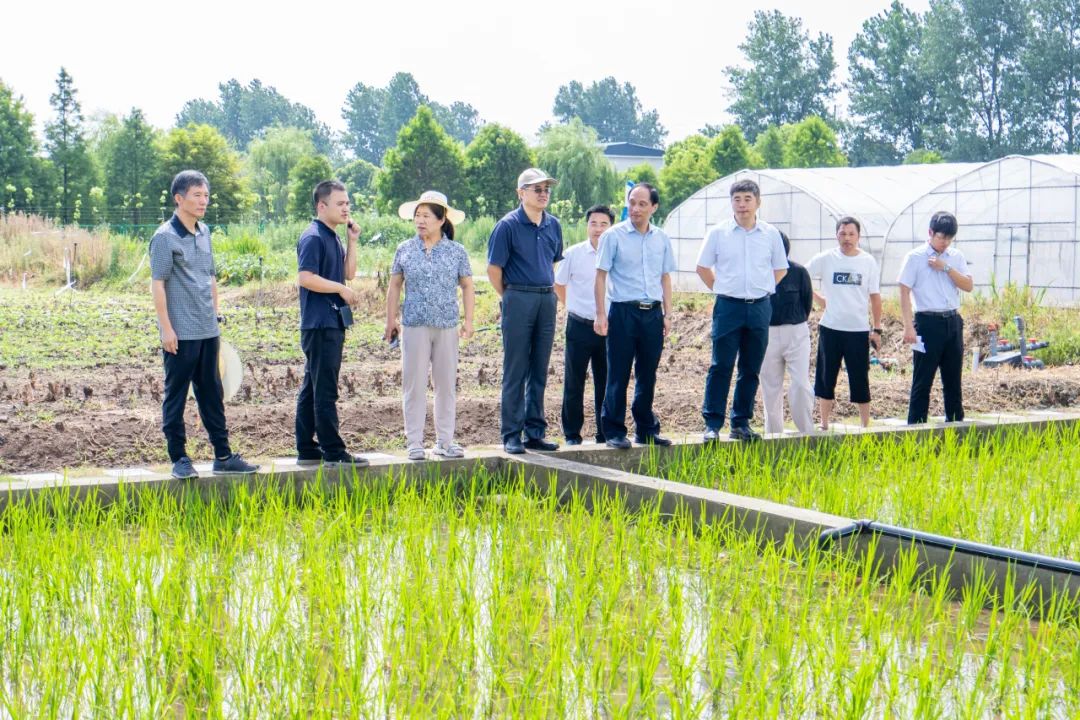 节水农艺设施是什么_节水农艺设施_农艺节水