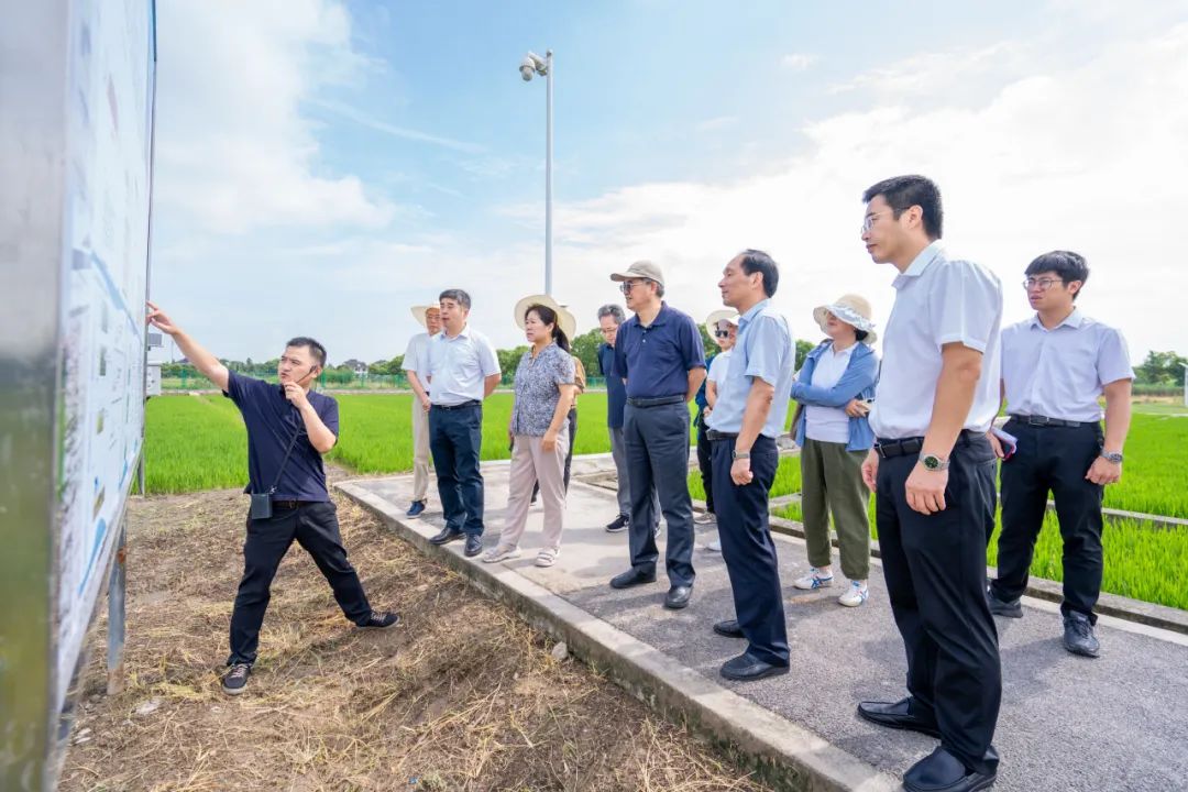 节水农艺设施是什么_节水农艺设施_农艺节水