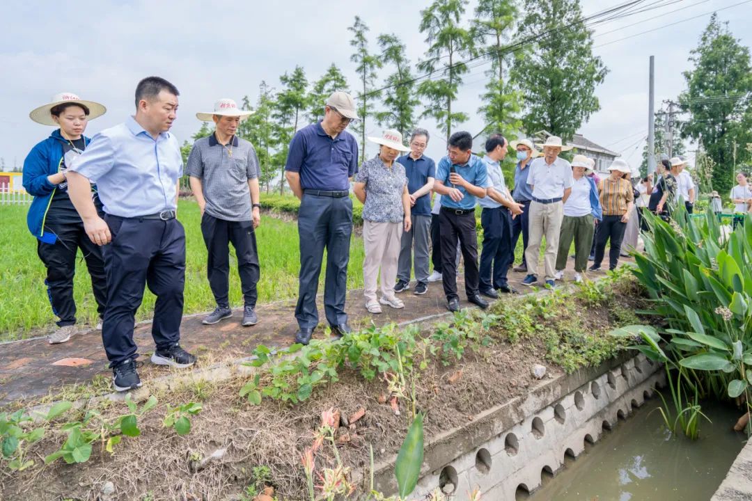 节水农艺设施_农艺节水_节水农艺设施是什么