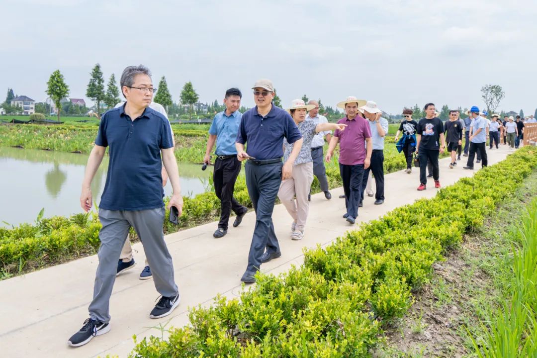 节水农艺设施是什么_节水农艺设施_农艺节水