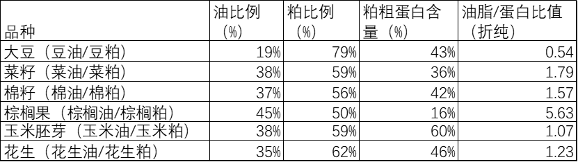 棉籽毛油市场行情_毛棉籽油是什么油_棉籽毛油