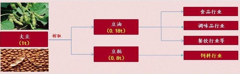 棉籽毛油_棉籽毛油市场行情_毛棉籽油是什么油