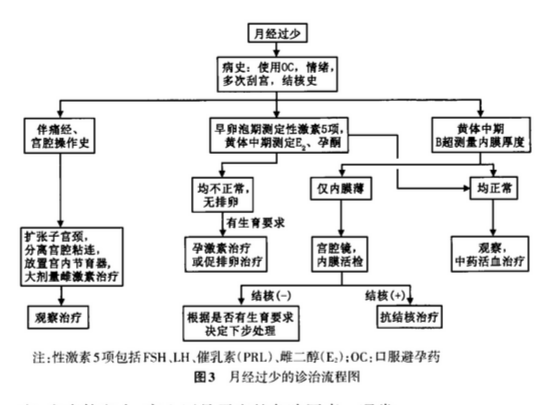 排卵期出血吃什么调理_出血调理排卵期吃什么好_出血调理排卵期吃什么药