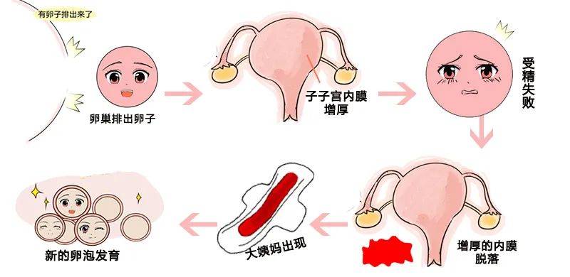 排卵期出血吃什么调理_出血调理排卵期吃什么药好_出血调理排卵期吃什么药