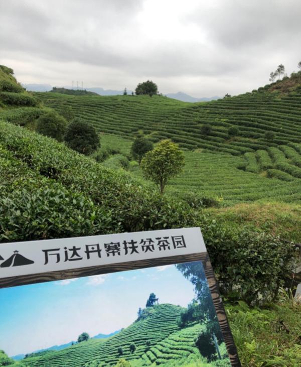 雷山苗族服饰便装图片_贵州雷山苗族服装秀图片_雷山苗族服饰