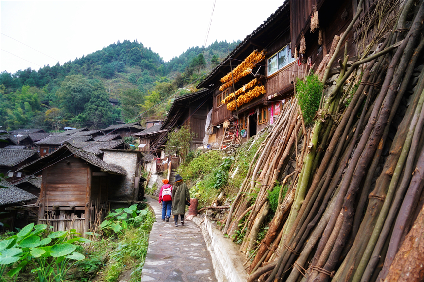 雷山苗族服饰特点_雷山苗族服饰_雷山苗族服饰便装图片