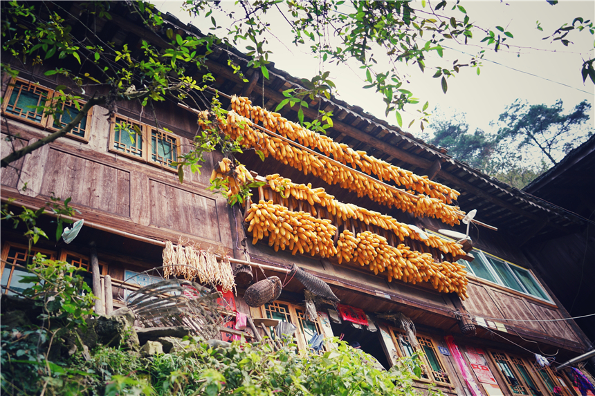 雷山苗族服饰_雷山苗族服饰便装图片_雷山苗族服饰特点