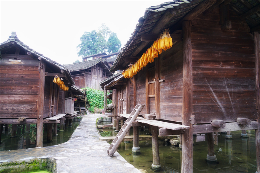 雷山苗族服饰便装图片_雷山苗族服饰特点_雷山苗族服饰